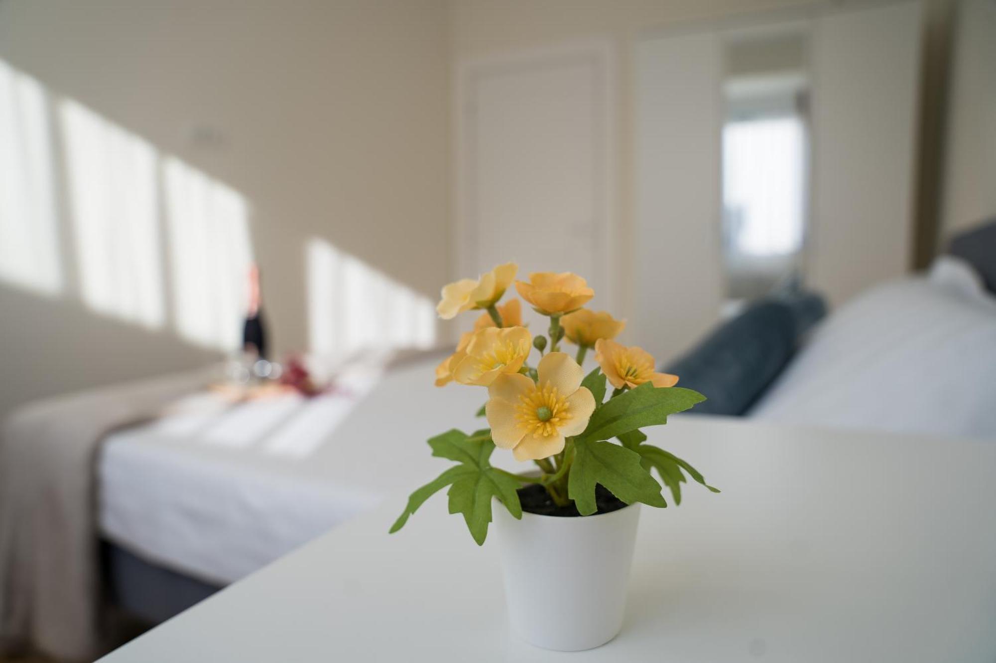 Azaleea Apartments Бухарест Экстерьер фото
